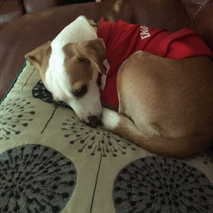 Meet your Posher, Sophie raines